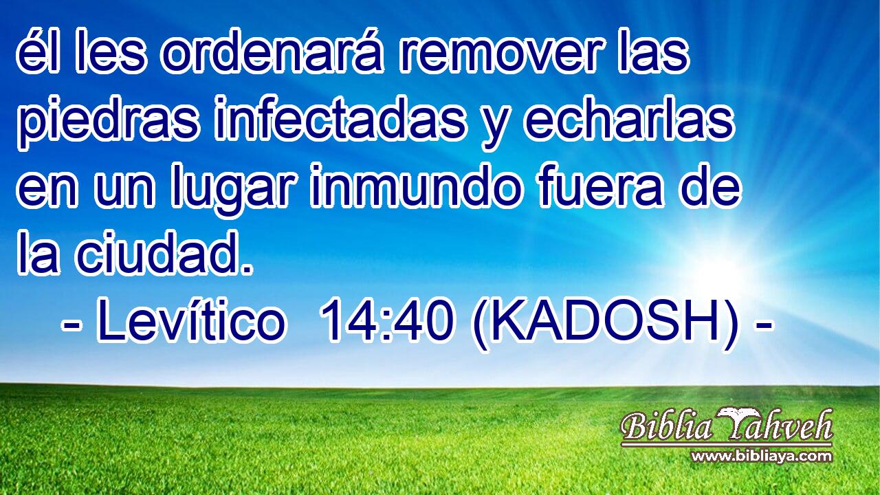 él les ordenará remover las piedras infectadas y echarlas en un lugar inmundo fuera de la ciudad. 