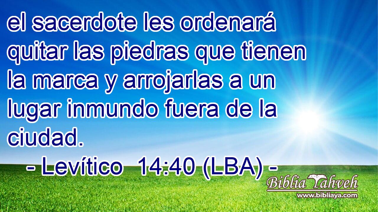 el sacerdote les ordenará quitar las piedras que tienen la marca y arrojarlas a un lugar inmundo fuera de la ciudad.