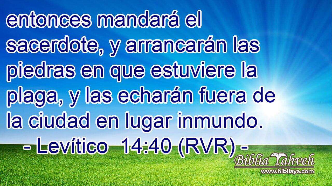entonces mandará el sacerdote, y arrancarán las piedras en que estuviere la plaga, y las echarán fuera de la ciudad en lugar inmundo.