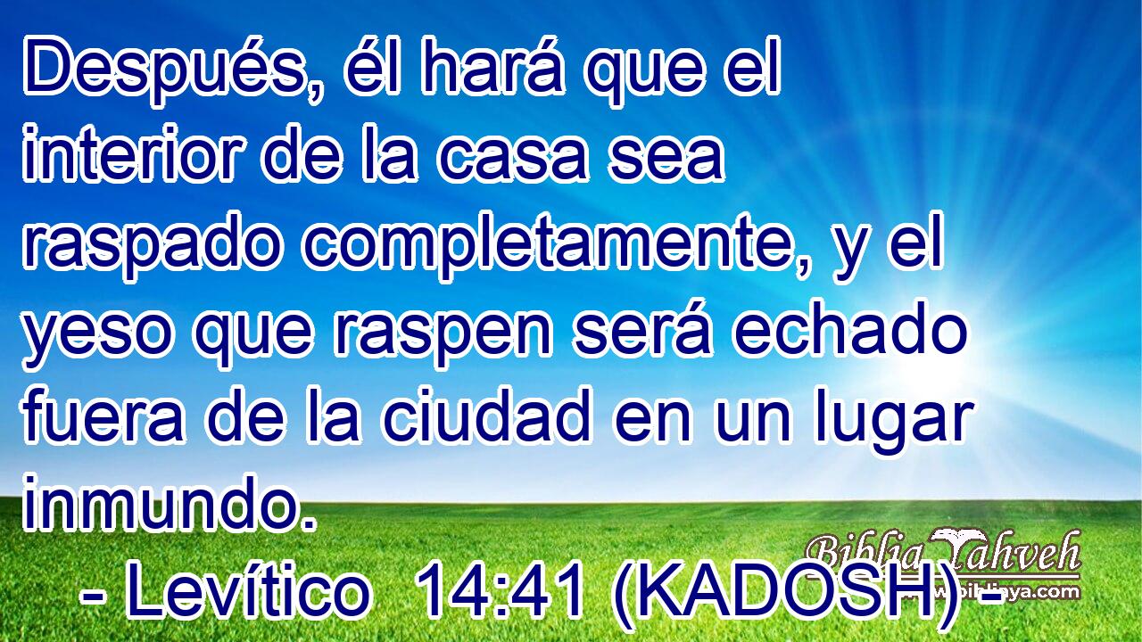  Después, él hará que el interior de la casa sea raspado completamente, y el yeso que raspen será echado fuera de la ciudad en un lugar inmundo. 
