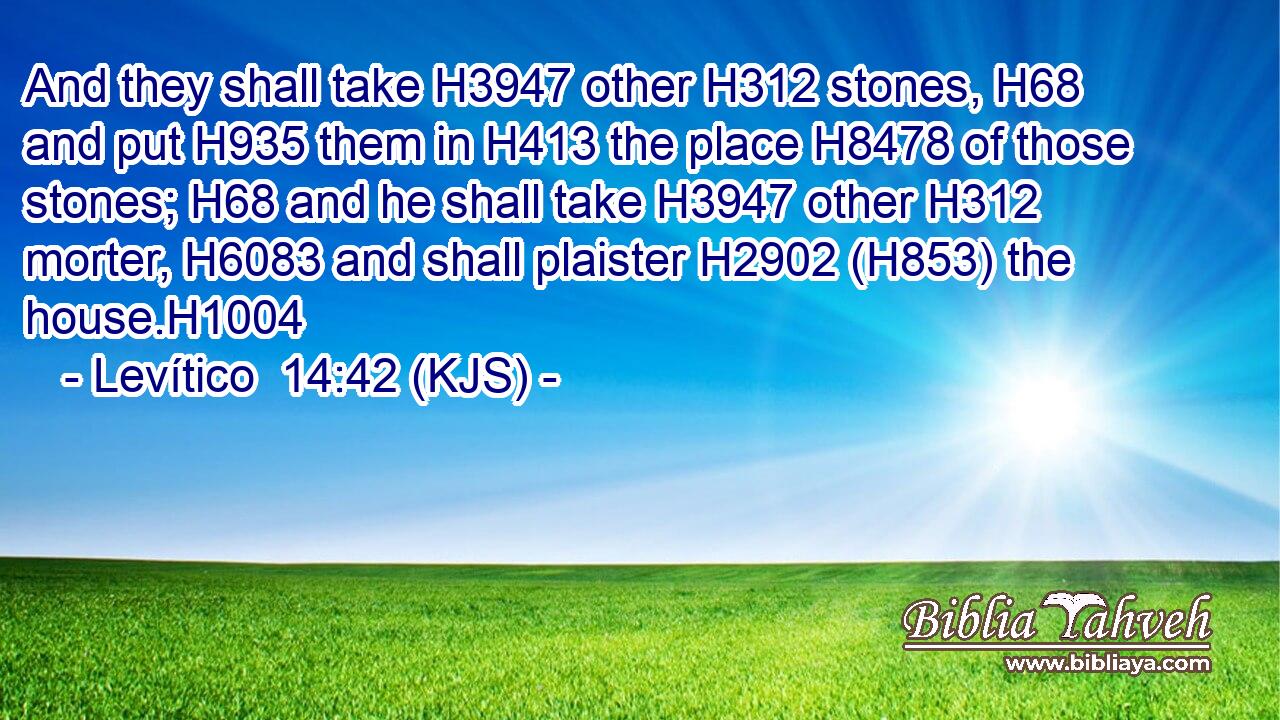 And they shall take H3947 other H312 stones, H68 and put H935 them in H413 the place H8478 of those stones; H68 and he shall take H3947 other H312 morter, H6083 and shall plaister H2902 (H853) the house.H1004