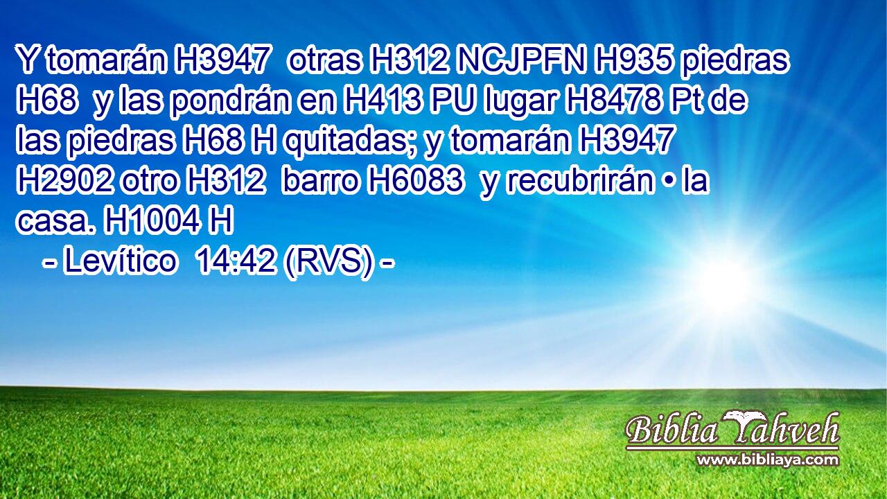Y tomarán H3947  otras H312 NCJPFN H935 piedras H68  y las pondrán en H413 PU lugar H8478 Pt de las piedras H68 H quitadas; y tomarán H3947  H2902 otro H312  barro H6083  y recubrirán • la casa. H1004 H 