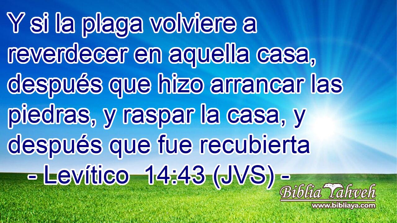 Y si la plaga volviere a reverdecer en aquella casa, después que hizo arrancar las piedras, y raspar la casa, y después que fue recubierta