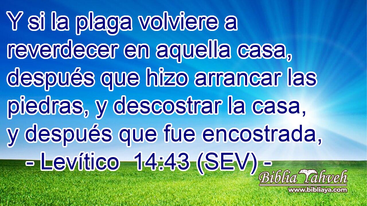 Y si la plaga volviere a reverdecer en aquella casa, después que hizo arrancar las piedras, y descostrar la casa, y después que fue encostrada,