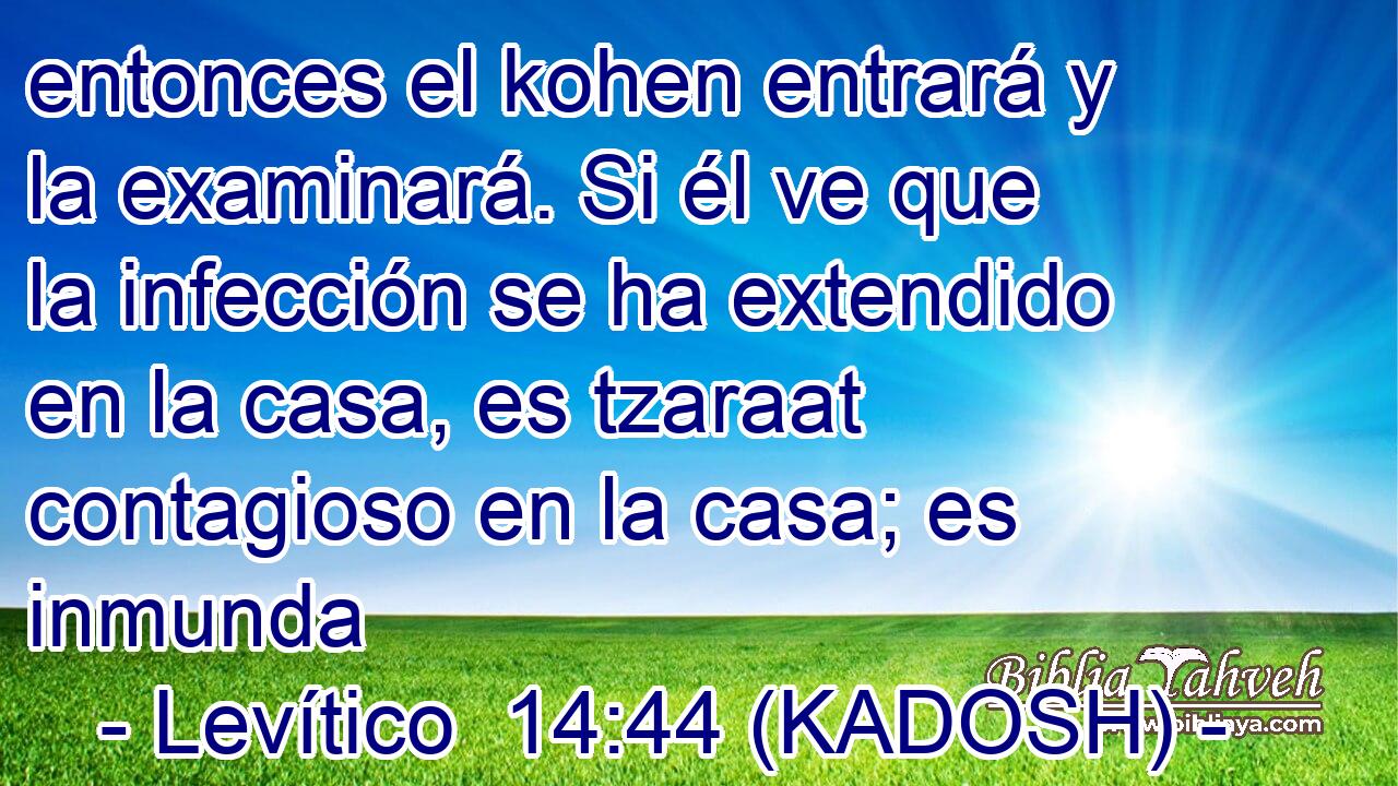  entonces el kohen entrará y la examinará. Si él ve que la infección se ha extendido en la casa, es tzaraat contagioso en la casa; es inmunda 