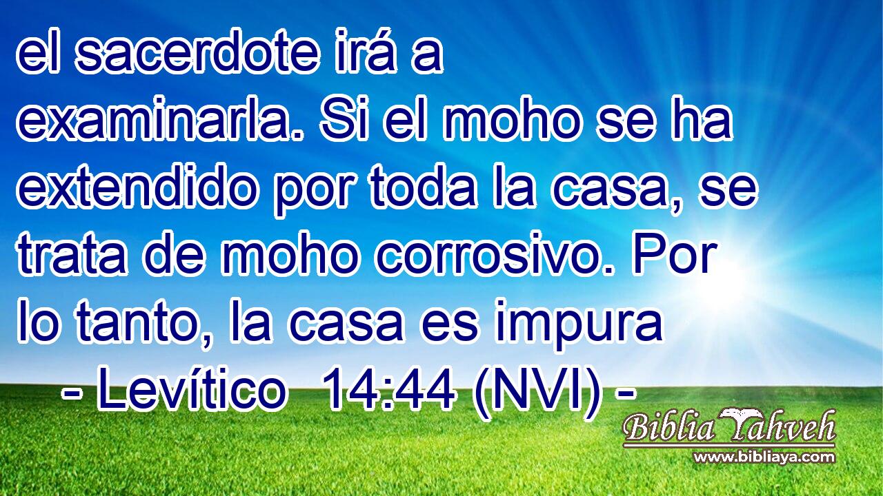  el sacerdote irá a examinarla. Si el moho se ha extendido por toda la casa, se trata de moho corrosivo. Por lo tanto, la casa es impura 
