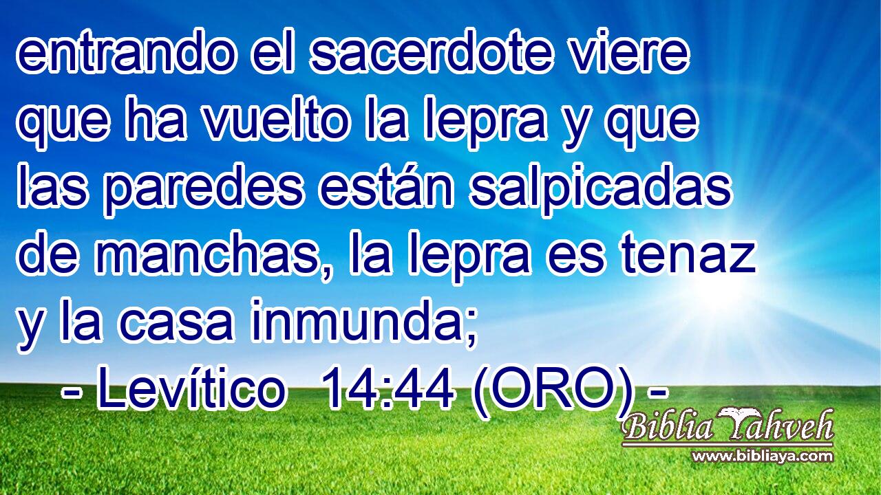  entrando el sacerdote viere que ha vuelto la lepra y que las paredes están salpicadas de manchas, la lepra es tenaz y la casa inmunda; 