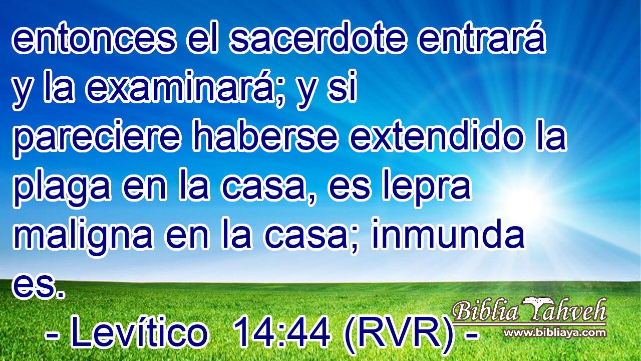 entonces el sacerdote entrará y la examinará; y si pareciere haberse extendido la plaga en la casa, es lepra maligna en la casa; inmunda es.
