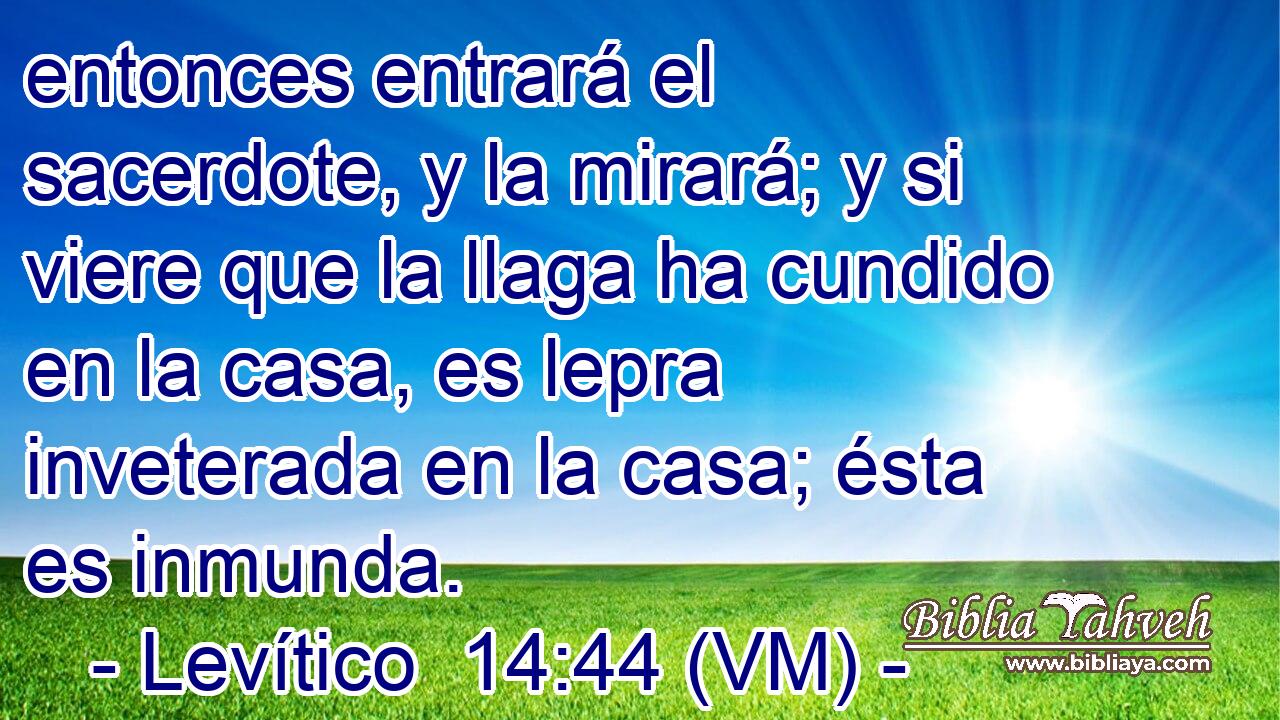  entonces entrará el sacerdote, y la mirará; y si viere que la llaga ha cundido en la casa, es lepra inveterada en la casa; ésta es inmunda. 