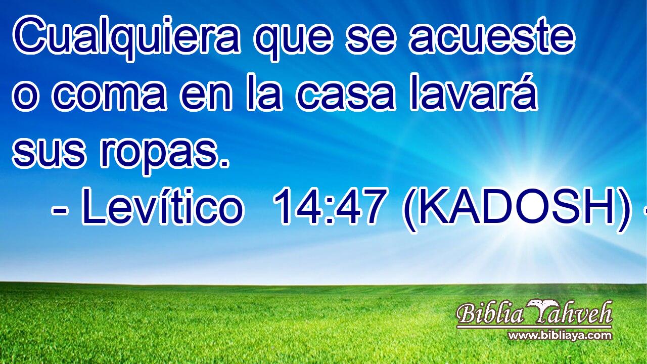  Cualquiera que se acueste o coma en la casa lavará sus ropas. 