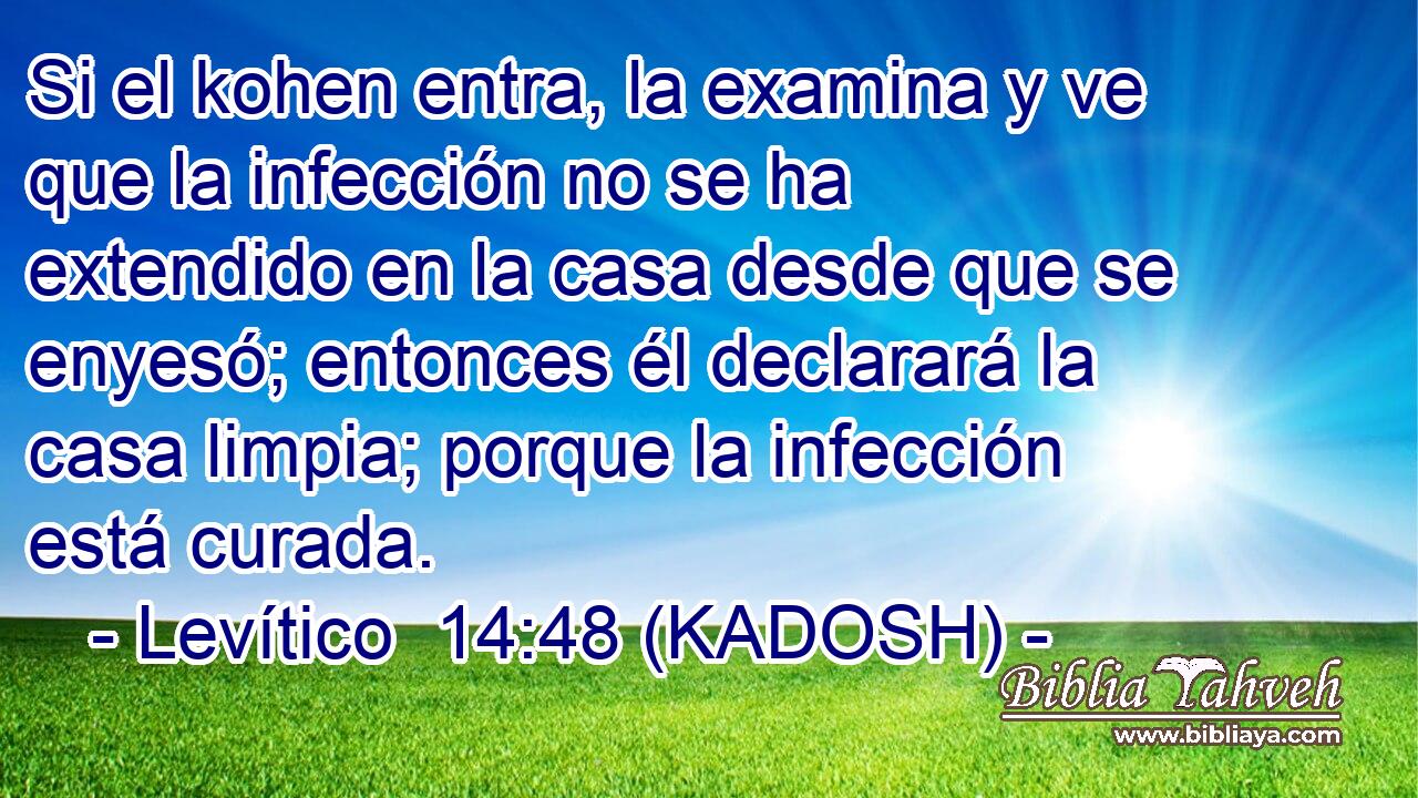  Si el kohen entra, la examina y ve que la infección no se ha extendido en la casa desde que se enyesó; entonces él declarará la casa limpia; porque la infección está curada. 