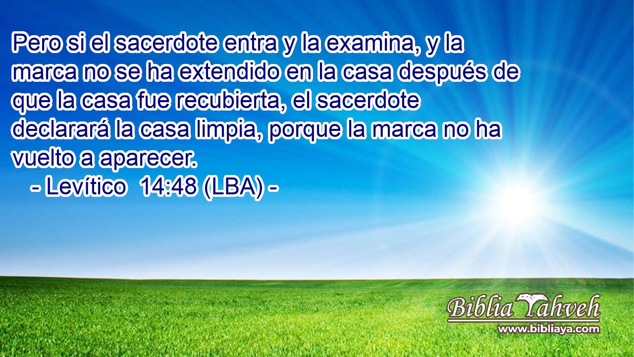 Pero si el sacerdote entra y la examina, y la marca no se ha extendido en la casa después de que la casa fue recubierta, el sacerdote declarará la casa limpia, porque la marca no ha vuelto a aparecer.
