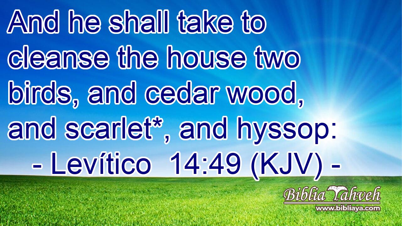 And he shall take to cleanse the house two birds, and cedar wood, and scarlet*, and hyssop:
