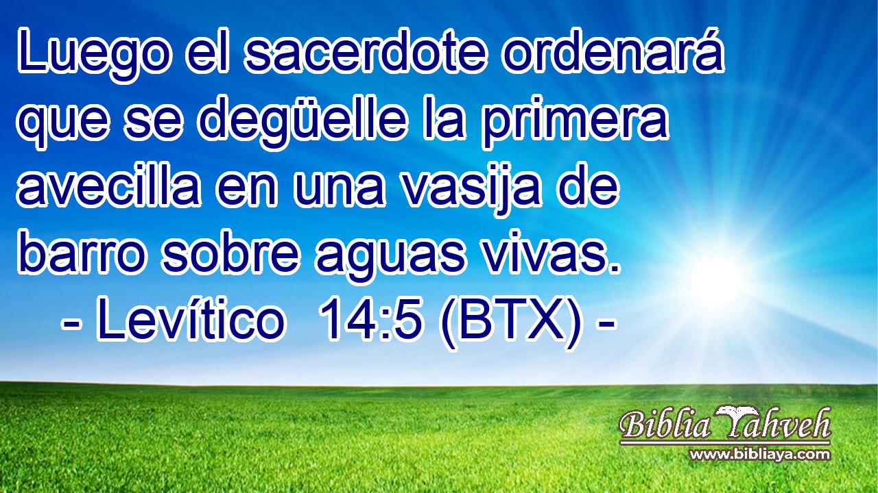 Luego el sacerdote ordenará que se degüelle la primera avecilla en una vasija de barro sobre aguas vivas.