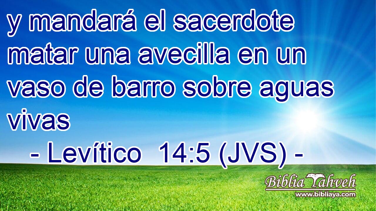 y mandará el sacerdote matar una avecilla en un vaso de barro sobre aguas vivas