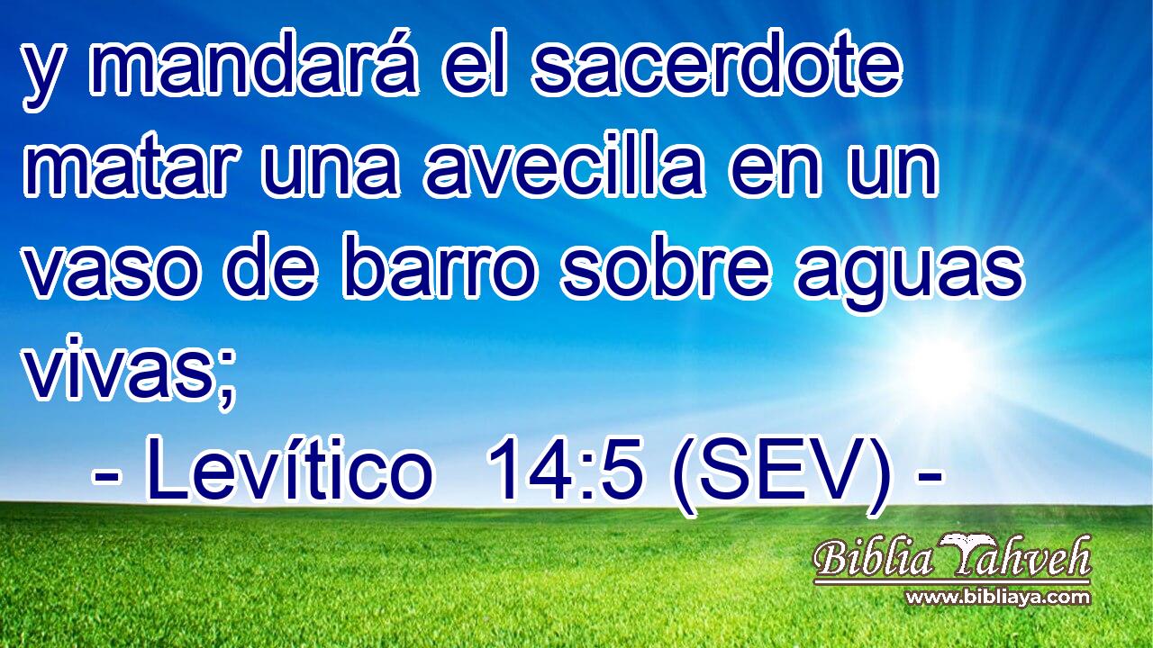 y mandará el sacerdote matar una avecilla en un vaso de barro sobre aguas vivas;