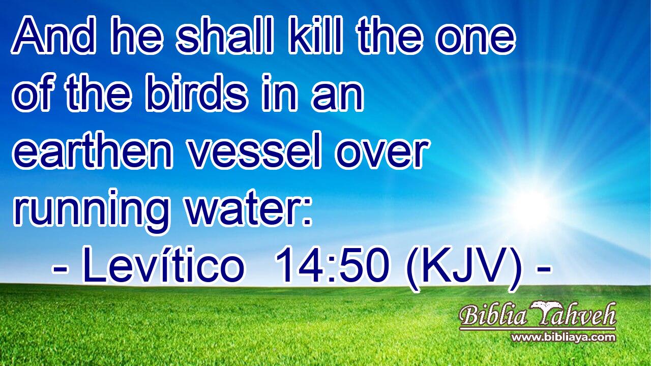 And he shall kill the one of the birds in an earthen vessel over running water: