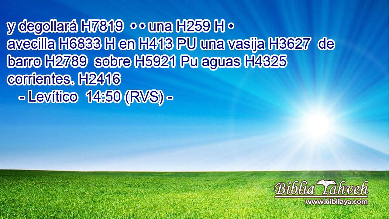 y degollará H7819  • • una H259 H • avecilla H6833 H en H413 PU una vasija H3627  de barro H2789  sobre H5921 Pu aguas H4325  corrientes. H2416  