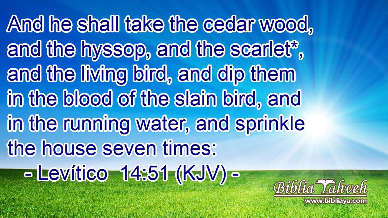And he shall take the cedar wood, and the hyssop, and the scarlet*, and the living bird, and dip them in the blood of the slain bird, and in the running water, and sprinkle the house seven times: