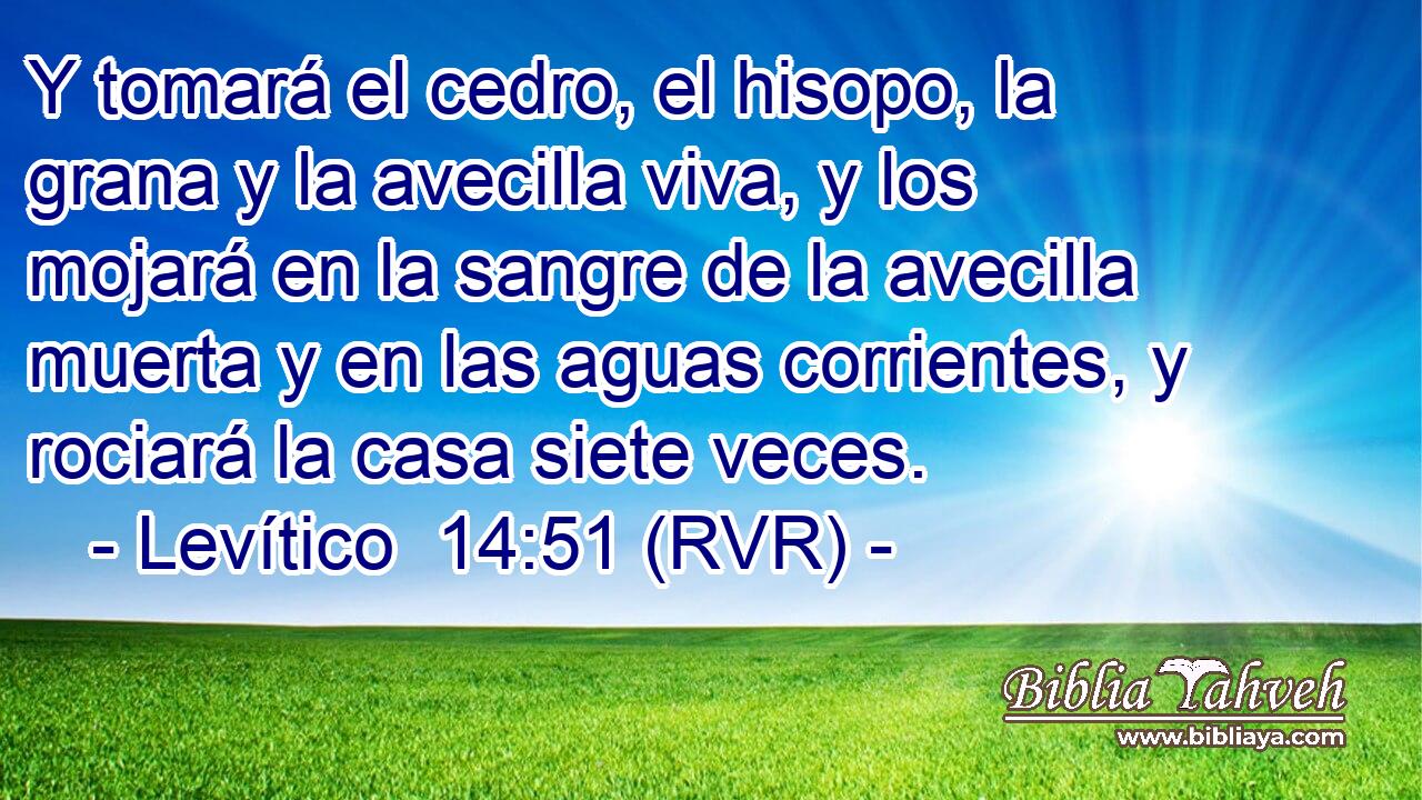 Y tomará el cedro, el hisopo, la grana y la avecilla viva, y los mojará en la sangre de la avecilla muerta y en las aguas corrientes, y rociará la casa siete veces.