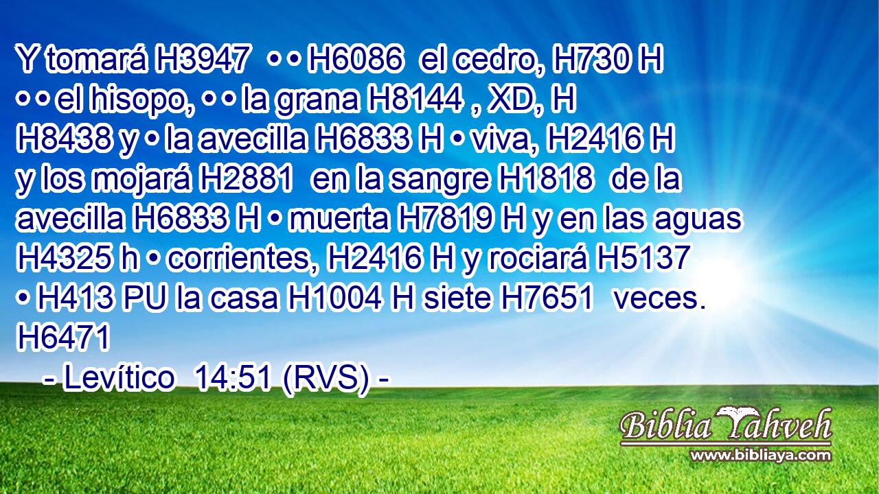Y tomará H3947  • • H6086  el cedro, H730 H • • el hisopo, • • la grana H8144 , XD, H H8438 y • la avecilla H6833 H • viva, H2416 H y los mojará H2881  en la sangre H1818  de la avecilla H6833 H • muerta H7819 H y en las aguas H4325 h • corrientes, H2416 H y rociará H5137  • H413 PU la casa H1004 H siete H7651  veces. H6471  