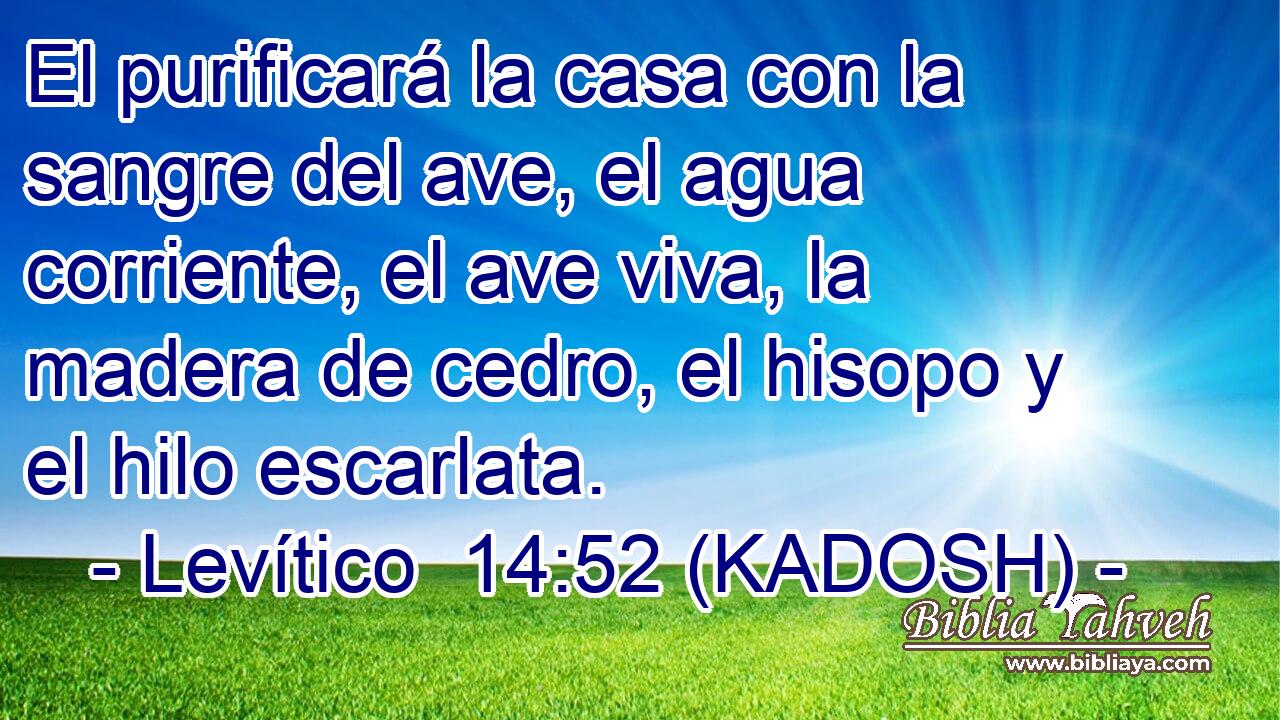  El purificará la casa con la sangre del ave, el agua corriente, el ave viva, la madera de cedro, el hisopo y el hilo escarlata. 