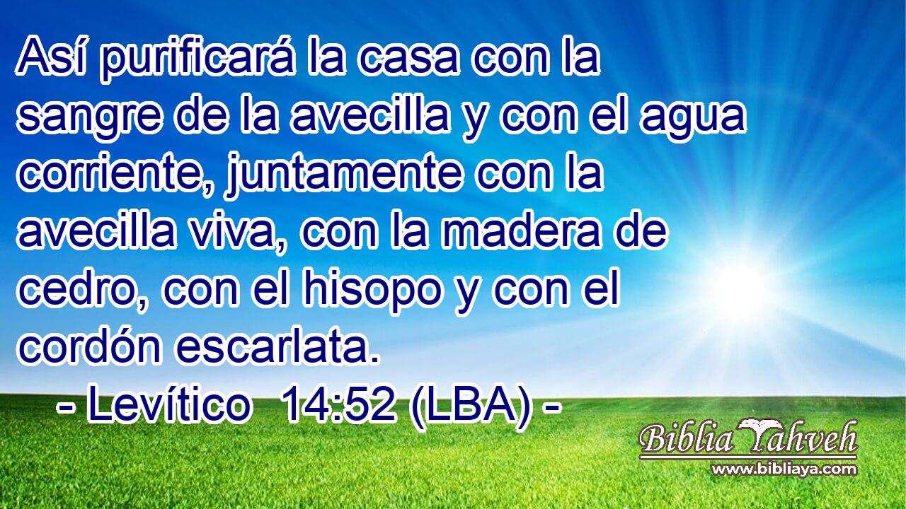 Así purificará la casa con la sangre de la avecilla y con el agua corriente, juntamente con la avecilla viva, con la madera de cedro, con el hisopo y con el cordón escarlata.