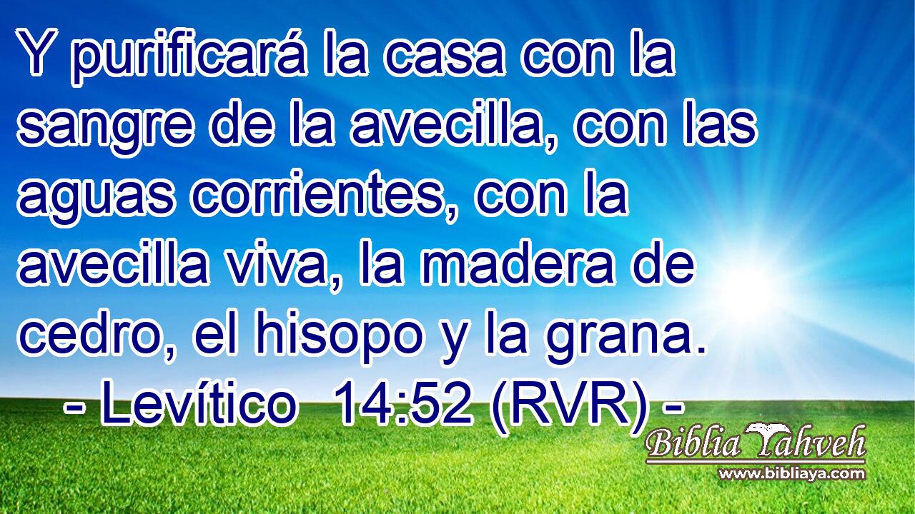 Y purificará la casa con la sangre de la avecilla, con las aguas corrientes, con la avecilla viva, la madera de cedro, el hisopo y la grana.