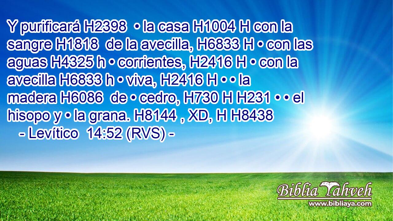 Y purificará H2398  • la casa H1004 H con la sangre H1818  de la avecilla, H6833 H • con las aguas H4325 h • corrientes, H2416 H • con la avecilla H6833 h • viva, H2416 H • • la madera H6086  de • cedro, H730 H H231 • • el hisopo y • la grana. H8144 , XD, H H8438 