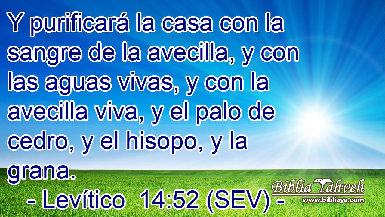 Y purificará la casa con la sangre de la avecilla, y con las aguas vivas, y con la avecilla viva, y el palo de cedro, y el hisopo, y la grana.