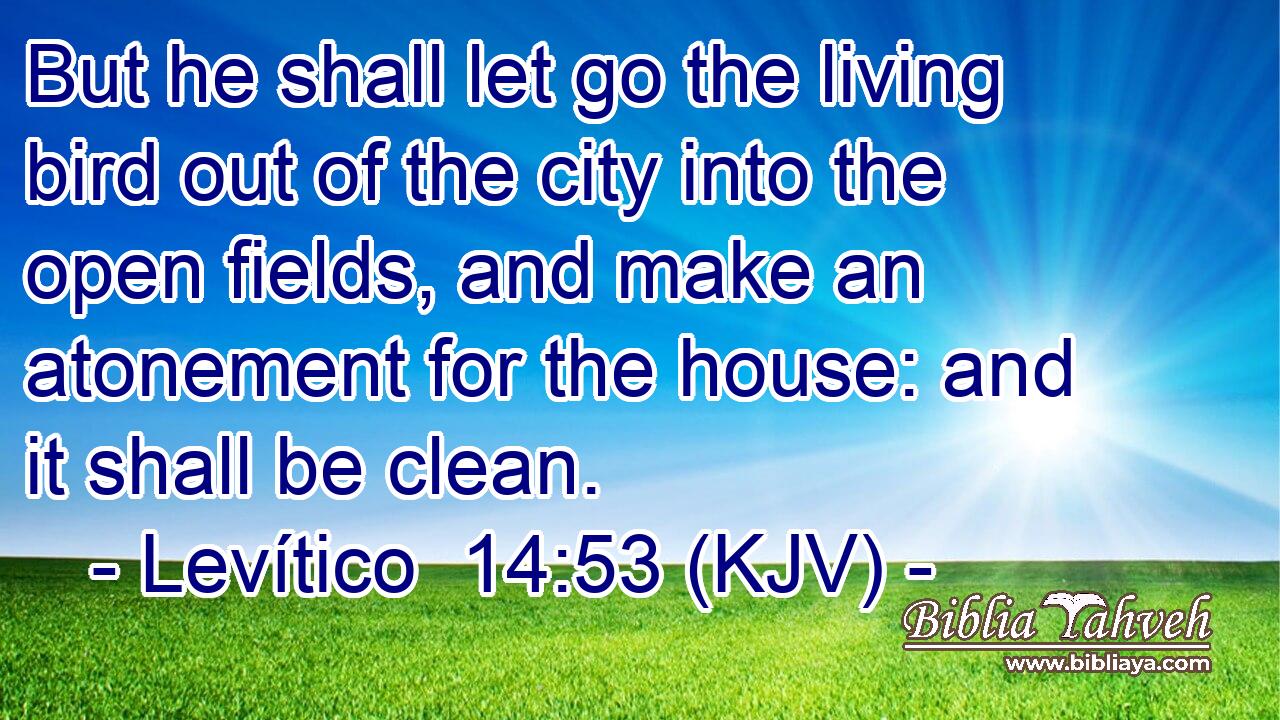 But he shall let go the living bird out of the city into the open fields, and make an atonement for the house: and it shall be clean.