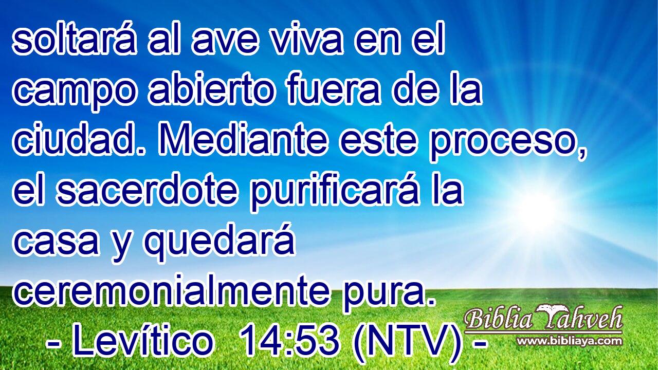 soltará al ave viva en el campo abierto fuera de la ciudad. Mediante este proceso, el sacerdote purificará la casa y quedará ceremonialmente pura.