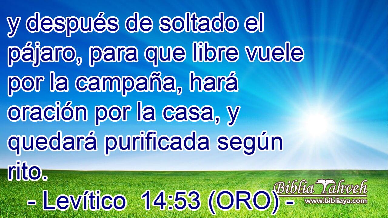  y después de soltado el pájaro, para que libre vuele por la campaña, hará oración por la casa, y quedará purificada según rito. 