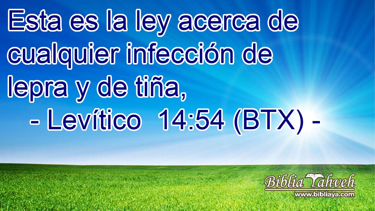 Esta es la ley acerca de cualquier infección de lepra y de tiña,