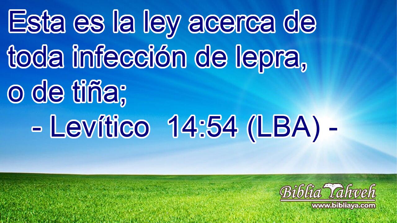 Esta es la ley acerca de toda infección de lepra, o de tiña;