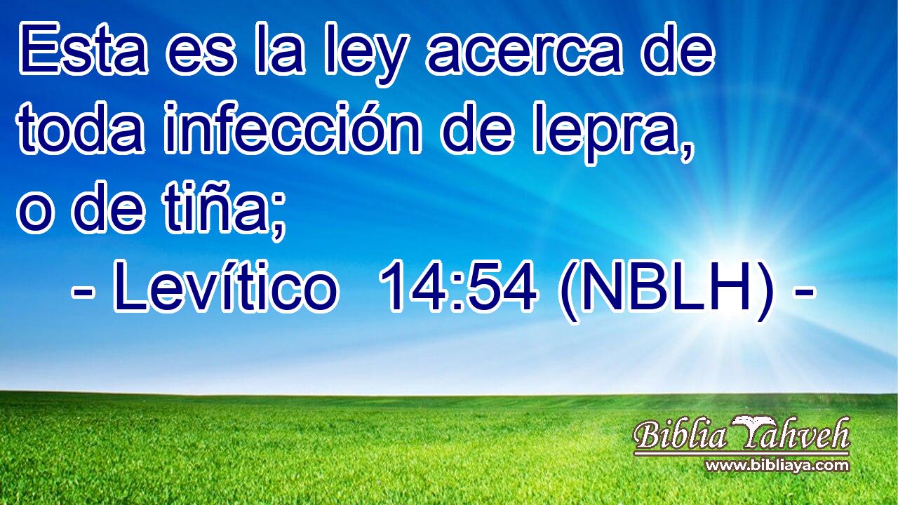  Esta es la ley acerca de toda infección de lepra, o de tiña; 