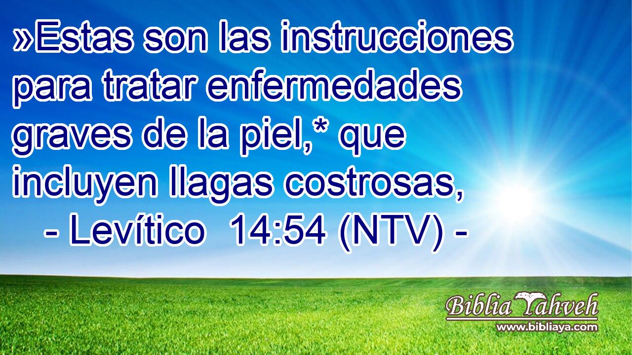 »Estas son las instrucciones para tratar enfermedades graves de la piel,* que incluyen llagas costrosas,