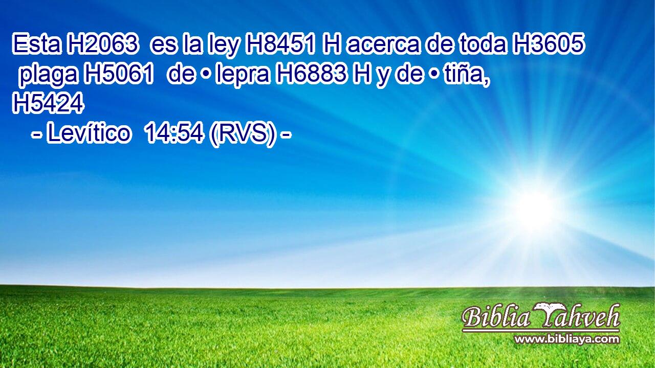 Esta H2063  es la ley H8451 H acerca de toda H3605  plaga H5061  de • lepra H6883 H y de • tiña, H5424  