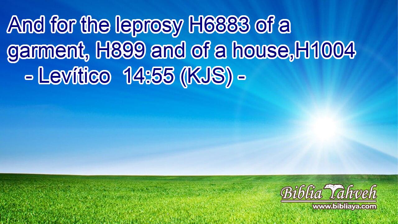 And for the leprosy H6883 of a garment, H899 and of a house,H1004