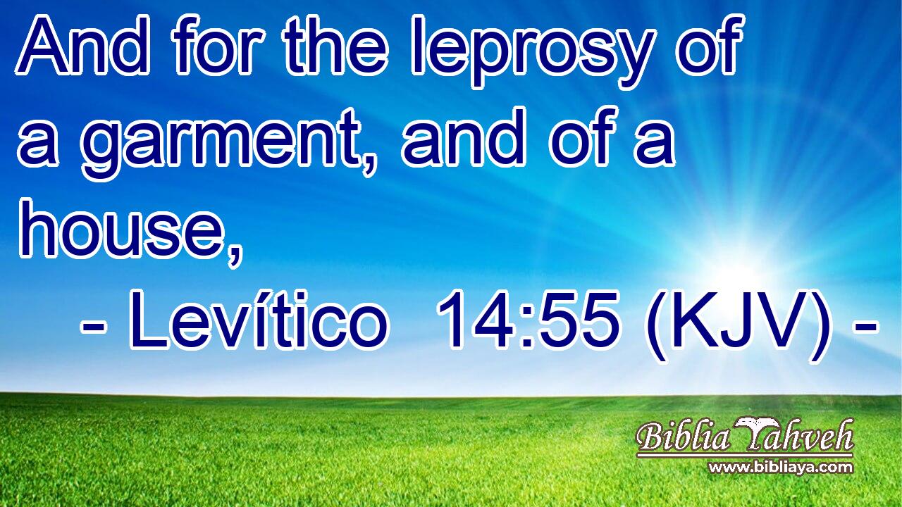 And for the leprosy of a garment, and of a house,