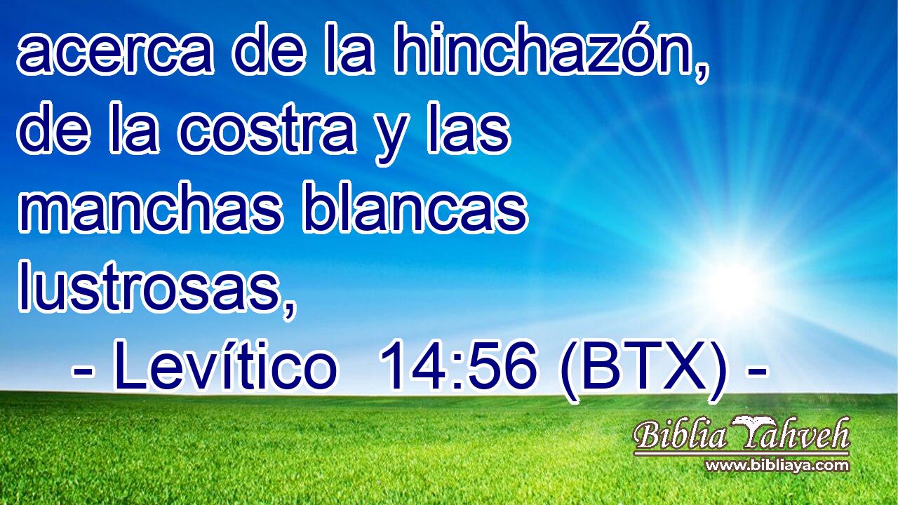 acerca de la hinchazón, de la costra y las manchas blancas lustrosas,