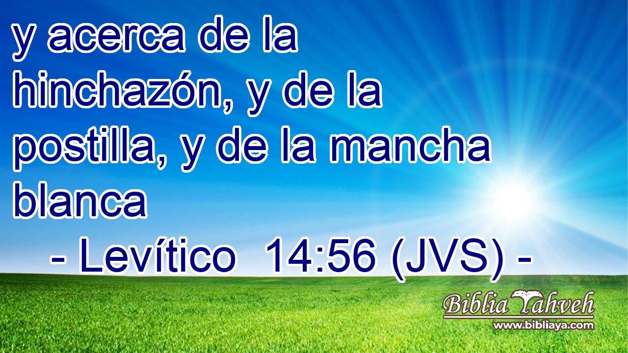 y acerca de la hinchazón, y de la postilla, y de la mancha blanca