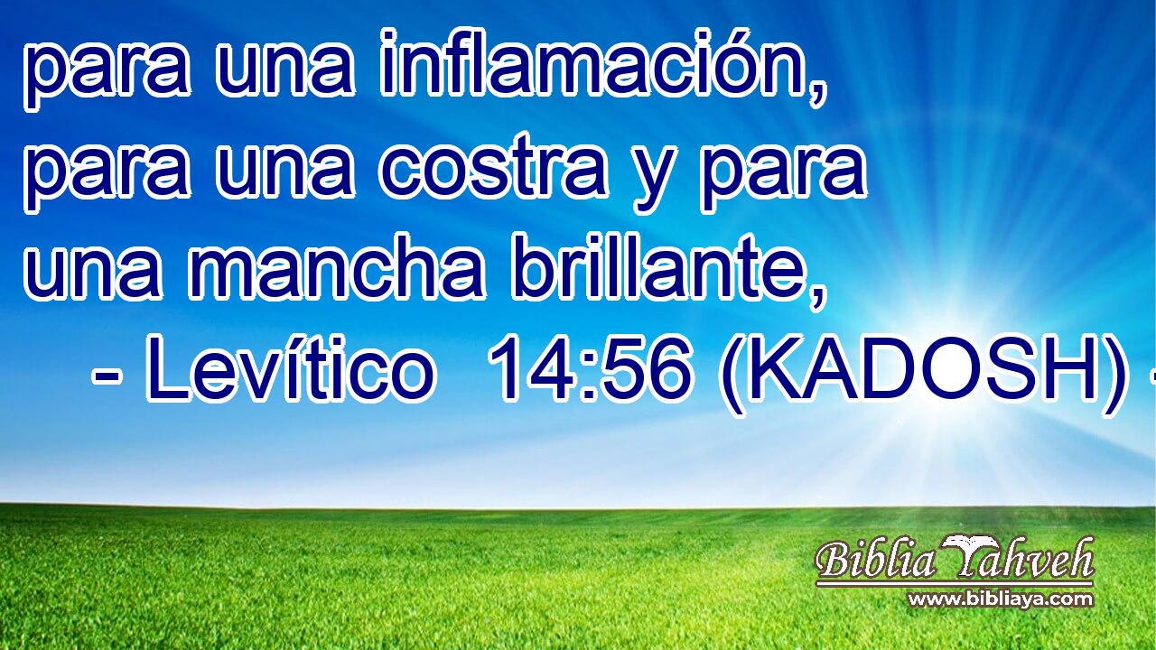  para una inflamación, para una costra y para una mancha brillante, 