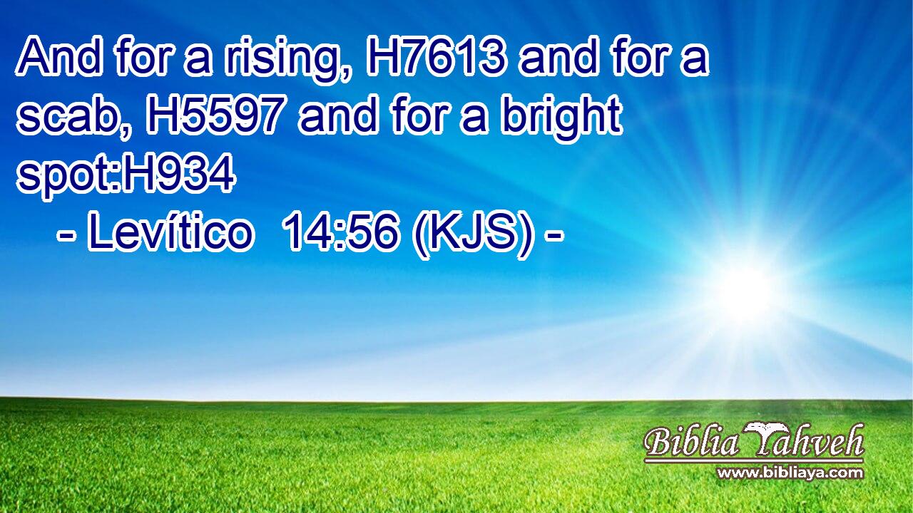 And for a rising, H7613 and for a scab, H5597 and for a bright spot:H934
