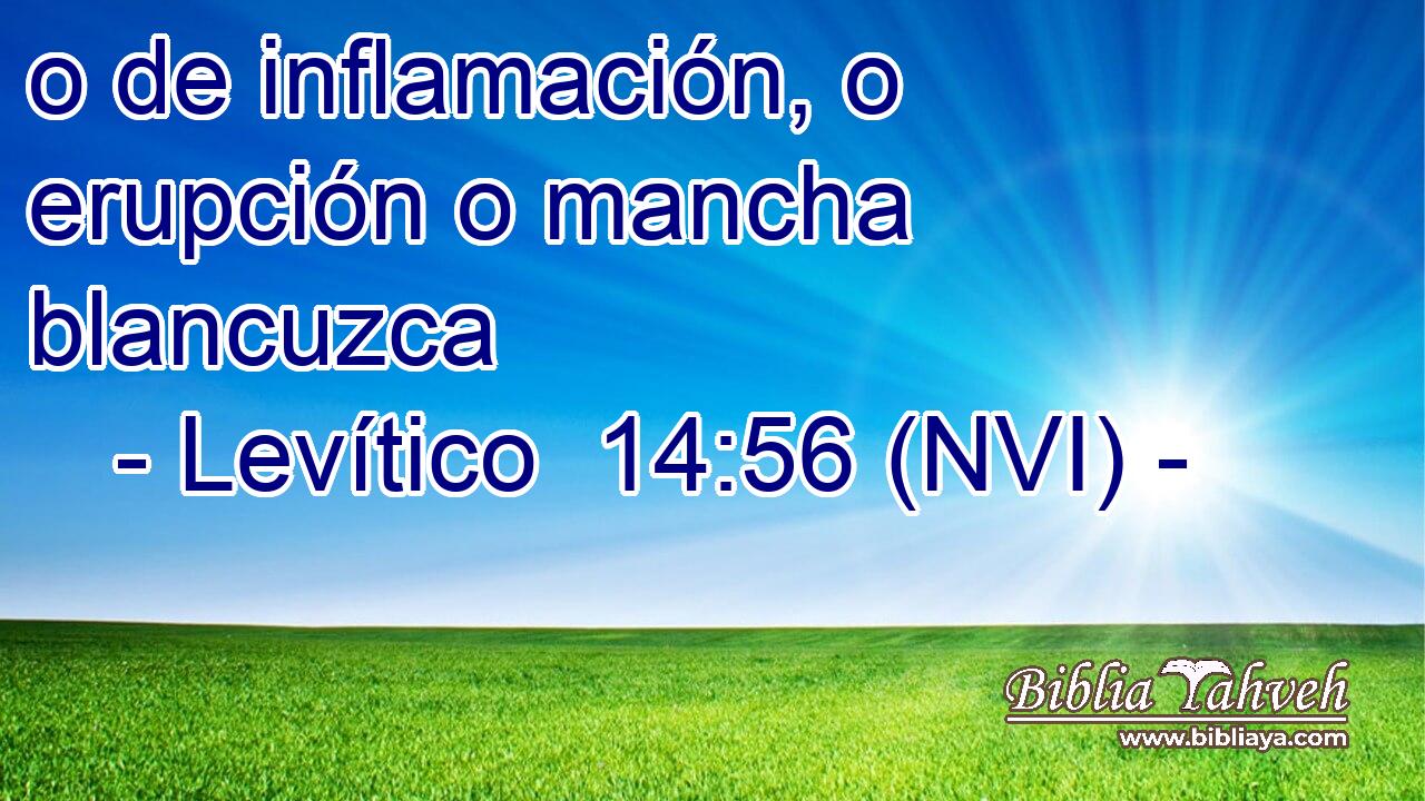 o de inflamación, o erupción o mancha blancuzca 