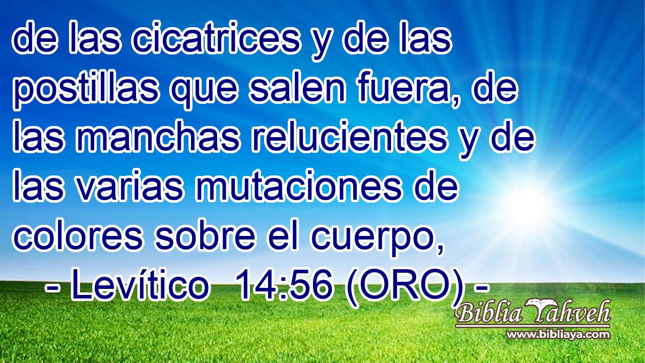  de las cicatrices y de las postillas que salen fuera, de las manchas relucientes y de las varias mutaciones de colores sobre el cuerpo, 