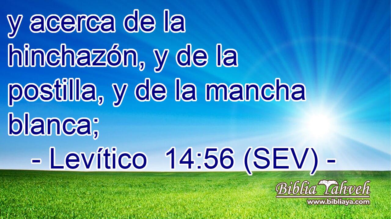y acerca de la hinchazón, y de la postilla, y de la mancha blanca;