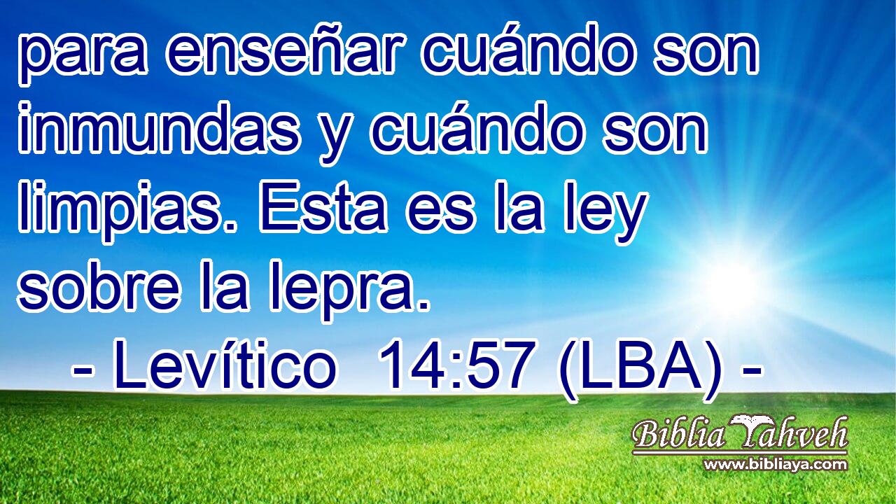 para enseñar cuándo son inmundas y cuándo son limpias. Esta es la ley sobre la lepra.