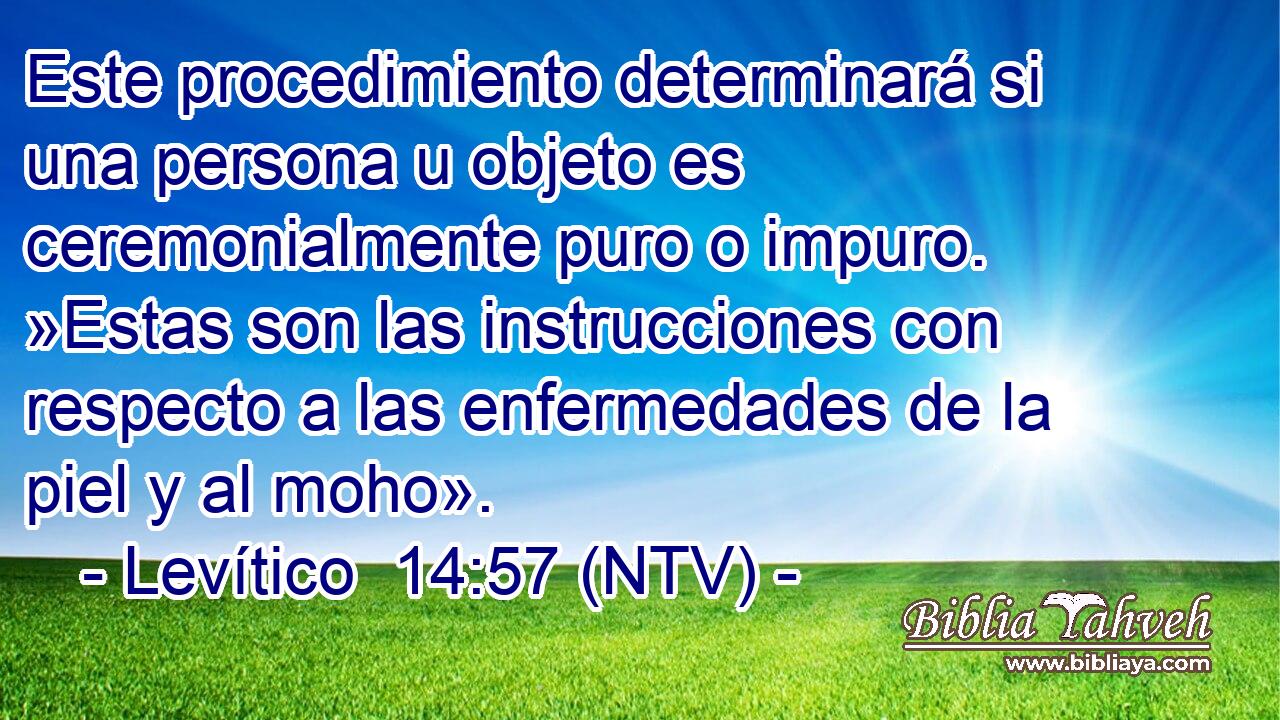 Este procedimiento determinará si una persona u objeto es ceremonialmente puro o impuro. »Estas son las instrucciones con respecto a las enfermedades de la piel y al moho».