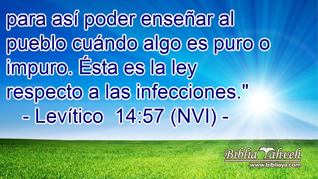  para así poder enseñar al pueblo cuándo algo es puro o impuro. Ésta es la ley respecto a las infecciones.